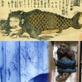 Giải mã bí ẩn về người cá Ningyo của Nhật Bản